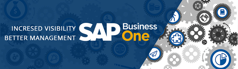 SAP Business One安装