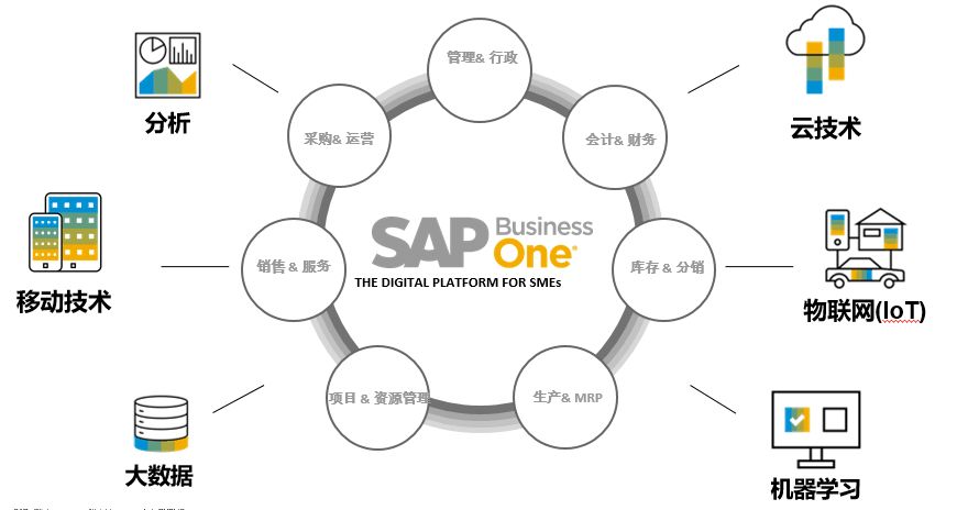 为何选择SAP,选择什么ERP好,ERP公司,SAP产品,ERP区别,SAP HANA,ERP哪家强