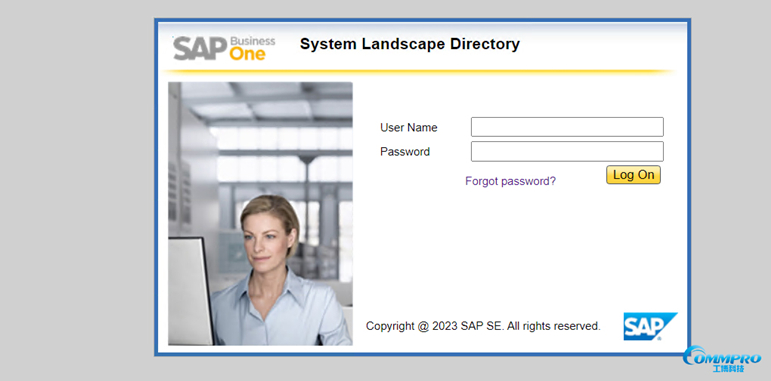SAP客户端安装