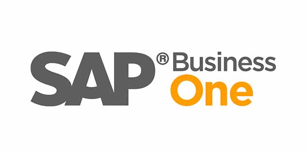 高效实施 SAP BUSINESS ONE
