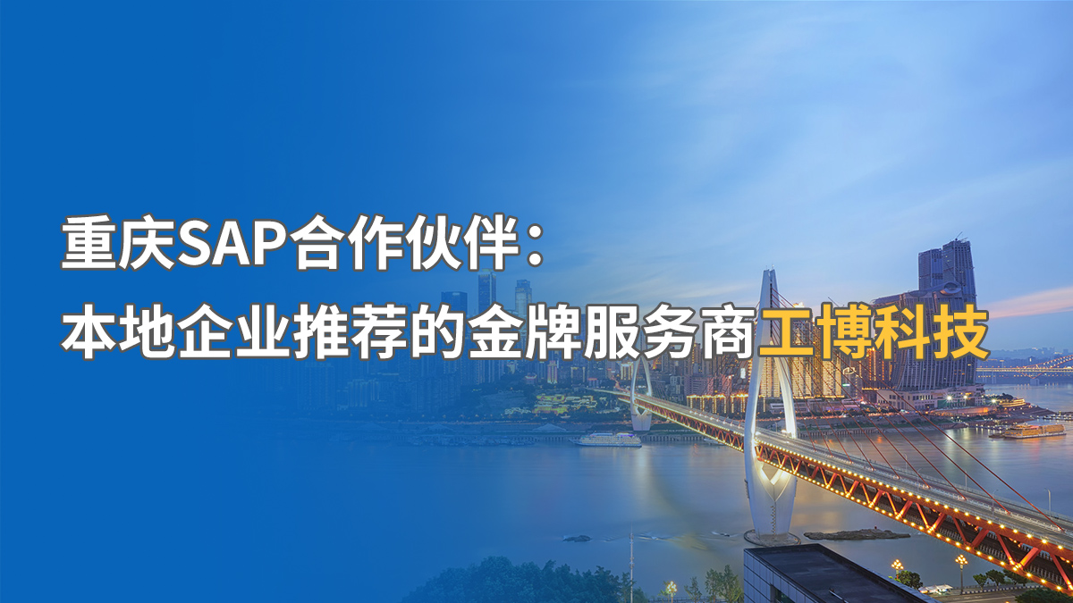 重庆SAP实施公司哪家强？实施经验与行业适配性