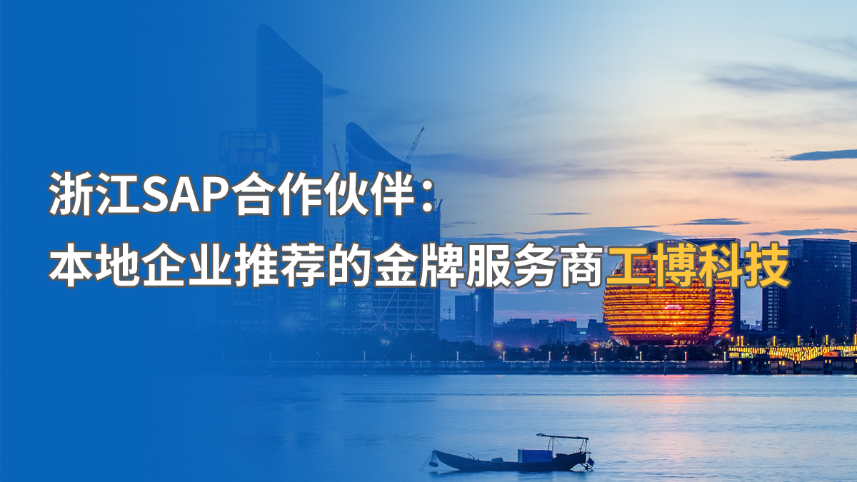 浙江地区SAP代理商区域服务能力与行业覆盖