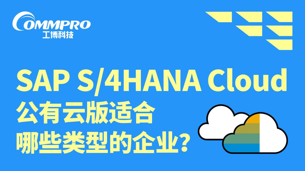 SAP S/4HANA Cloud 公有云适配哪些企业