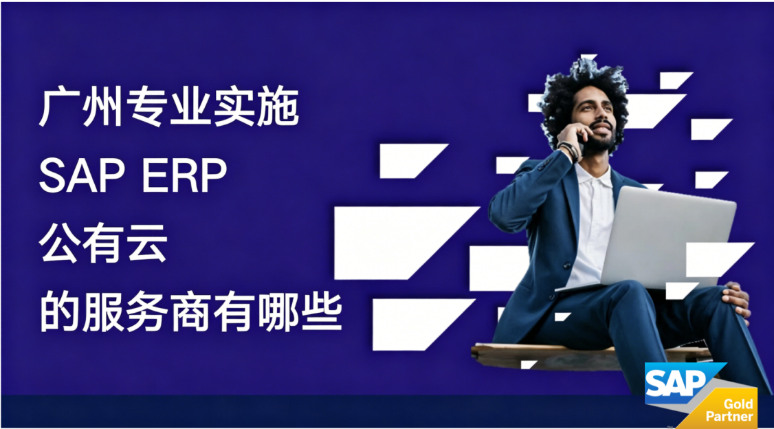 广州SAP ERP 公有云服务商