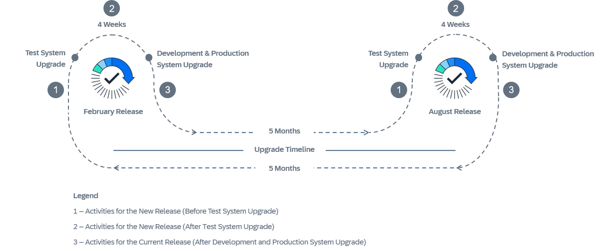 SAP ERP 公有云每年的升级时间与频率
